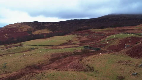 Aerial over a fields in Scotland Video stock 139249215