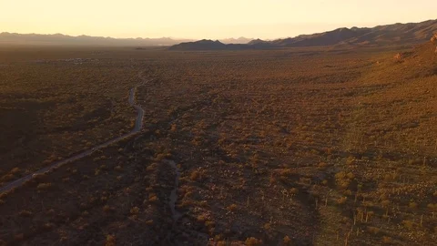 Aerial over flatlands covered with cacti in Saguaro National Park, Tucson, AZ 库存影片 101817001