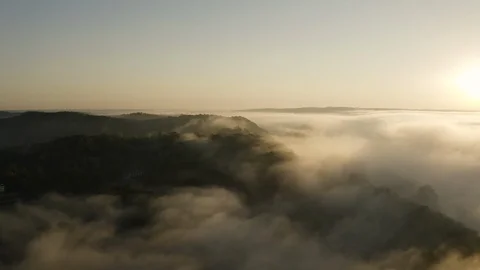 Aerial over fog covered forest Stock Footage