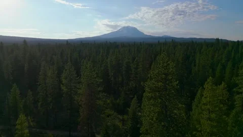 Aerial over forest approaching mountain Stock Footage 314548841