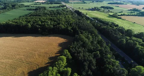 Aerial Over Forest Between Wheat Fields In Country Side as Distant Train Goes By Stock Footage 199810115