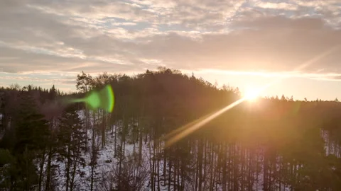 Aerial over forest during sunset with sunrays peaking through trees creating 動画素材 147497864