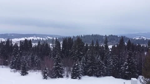 Aerial Over Forest During Winter At Twilight Video stock 170069904