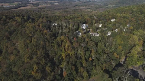 Aerial Over Forest 库存影片 91900003
