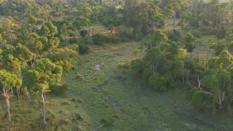 Aerial over forest Stock Footage 172159897