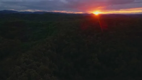 Aerial over the forest looking at sunset with lens flare Stock Footage 140057600