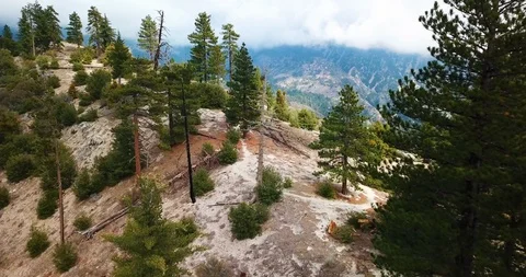 Aerial over Forest Pine Trees Crystal Lake California Stock Footage 126364003
