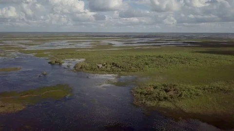 Aerial Over Head Shot Of The Florida Everglades Stock Footage