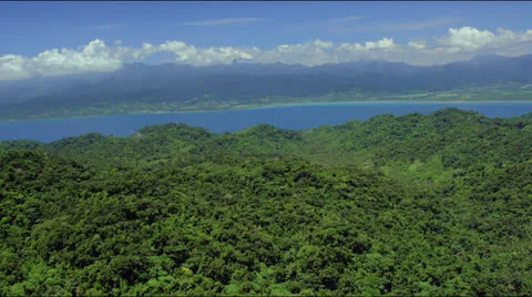 Aerial over mangrove forest Stock Footage 25344281