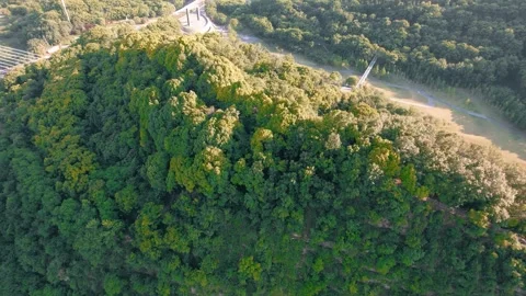 Aerial Over Moji Mountain Forest Park In Yichang Video stock 320857085
