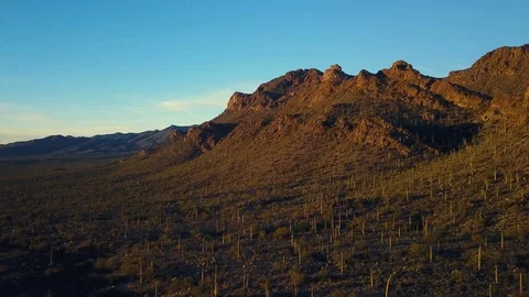 Aerial over mountain covered with cacti in Saguaro National Park, Tucson, AZ Stock Footage 101816904