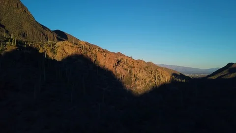 Aerial over mountain covered with cacti in Saguaro National Park, Tucson, AZ Stock Footage 101816905