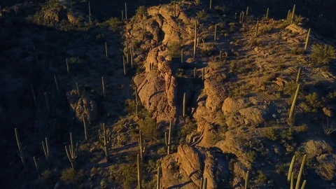 Aerial over mountain covered with cacti in Saguaro National Park, Tucson, AZ Stock Footage 101846319