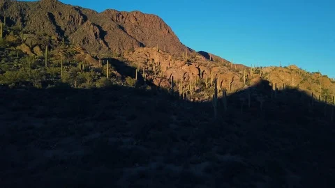 Aerial over mountain covered with cacti in Saguaro National Park, Tucson, AZ 库存影片 101846322