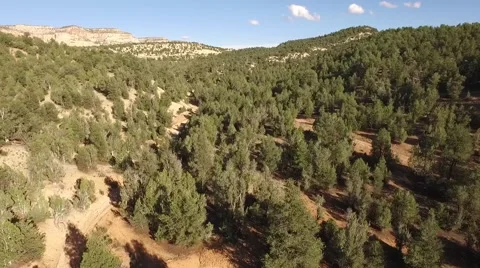 Aerial Over Mountain Forest 動画素材 58603179