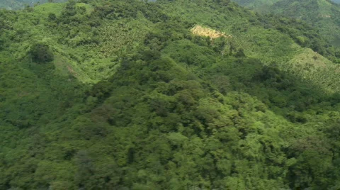 Aerial over a Mountain Range covered in Rain Forest Stock Footage 549824