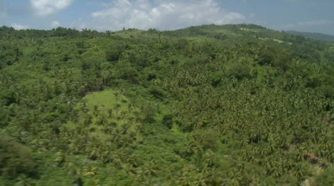 Aerial over a Mountain Range covered in Rain Forest Stock Footage 549932