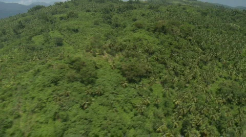 Aerial over a Mountain Range covered in Rain Forest Video stock 549935
