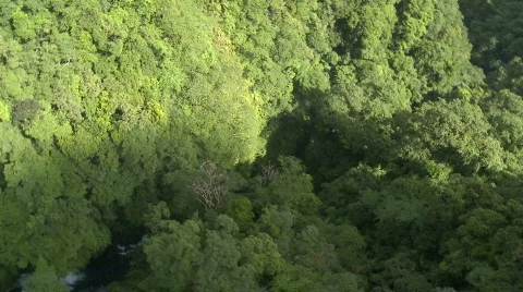 Aerial over a Mountain Range covered in Rain Forest revealing river & Waterfall Stock Footage