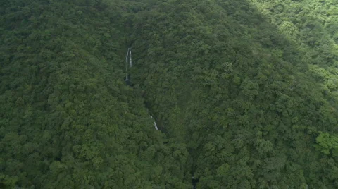 Aerial over a Mountain Range covered in Rain Forest Stock Footage 558884