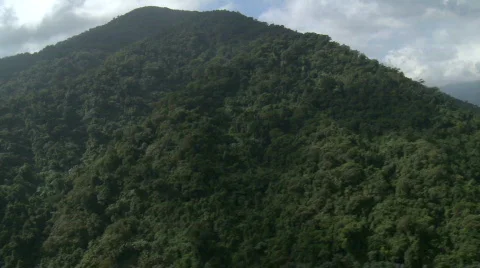 Aerial over a Mountain Range covered in Rain Forest Stock Footage 559206