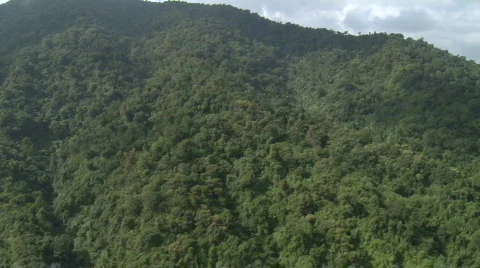 Aerial over a Mountain Range covered in Rain Forest Stock Footage 559348