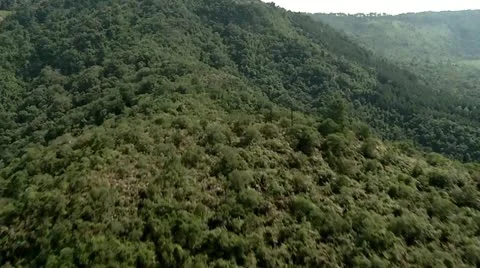 Aerial Over A Mountain Range Covered In Rain Forest Video stock 12013130