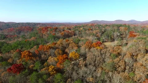 Aerial Over Mountain Trees in the Fall, 4K Stock Footage 71089133