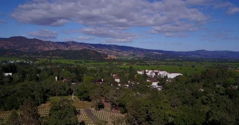 Aerial over Oak Trees in Veteran Cemetery Stock Footage 76536086