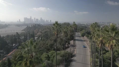 Aerial over a palm lined road toward the Downtown LA skyline Stock Footage 339635197