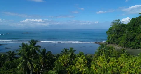 Aerial Over Palm Trees,Tropical Beach, Surf, Gentle Waves Along Jungle Coastline Stock Footage