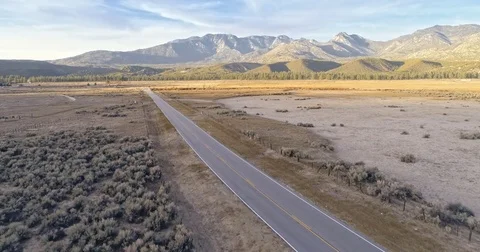 Aerial over pine tree forest and road, Mt San Jacinto State Park, California, Stock Footage 84773816