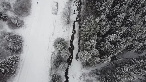 Aerial Over Pine Tree Winter Forest near River 스톡 동영상 167744292