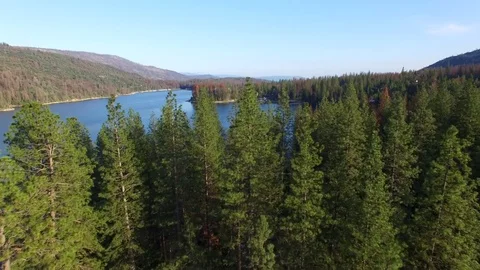 Aerial Over Pine Trees and Blue Lake Vídeos de archivo 77279969