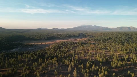 Aerial over pine trees and Highway 17 south of Flagstaff Arizona at sunset Stock Footage 254634805