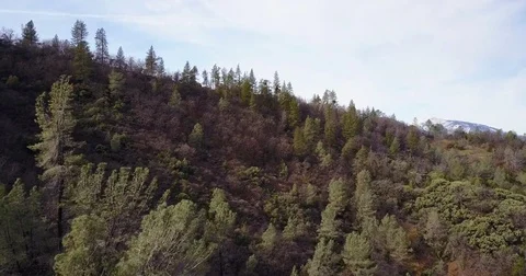An aerial over the Pocono Mountain range in winter with light snow. Vidéo 75696249