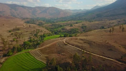 Aerial over rice fields, trees, village and Amboaboa River Madagascar Stock Footage 230232747