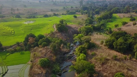 Aerial over rice fields, trees, village and Amboaboa River Madagascar Stock Footage 230232762
