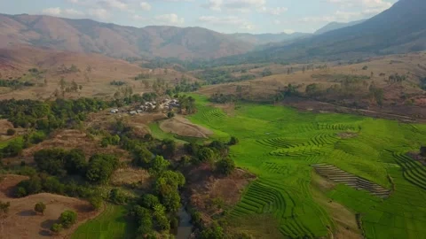 Aerial over rice fields, trees, village and Amboaboa River Madagascar Stock Footage 230232767