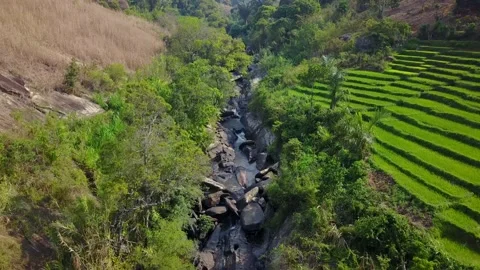 Aerial over rice fields, trees, village and Amboaboa River Madagascar Stock Footage 230232831