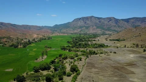 Aerial over rice fields, trees, village and Amboaboa River Madagascar Stock Footage 230232981
