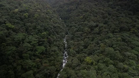 Aerial over Rio Celeste river and Costa Rica Jungle on misty day Stock Footage 329657170