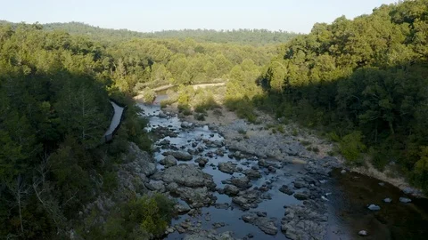 Aerial over a river in a forest Stock Footage 111581975