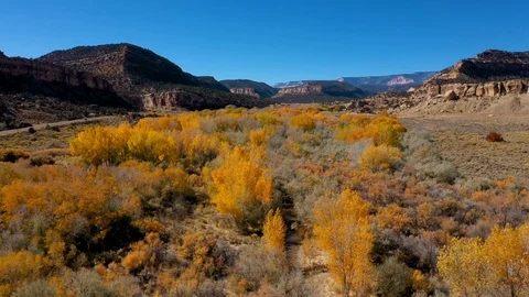 Aerial Over A Riverbed Where Trees With Yellow Foliage Grow On A Sunny Fall Day Video stock 120836208