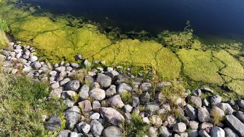 Aerial Over Rocky Divide in Retention Pond, Barrie Ontario Video stock 316991953