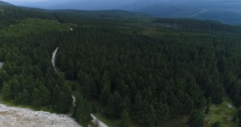 Aerial over Runner in the forest Video stock 88835638