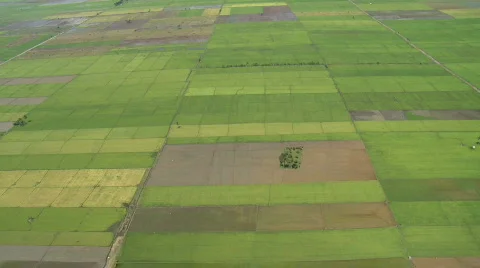 Aerial over rural fields in different stages of growth Stock Footage 641184