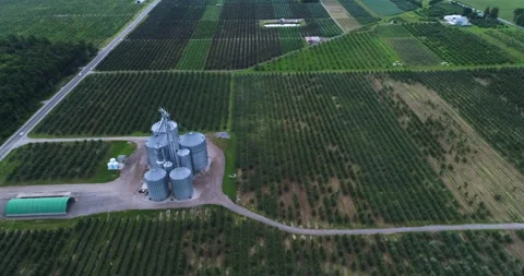 Aerial Over Rural Silo Complex And Apple Orchard, Fields And Road On Cloudy Day Stock Footage 199927356
