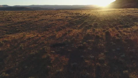 Aerial over Scablands Stock Footage 246072231
