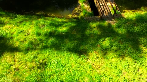 Aerial over small pond Stock Footage 62904219